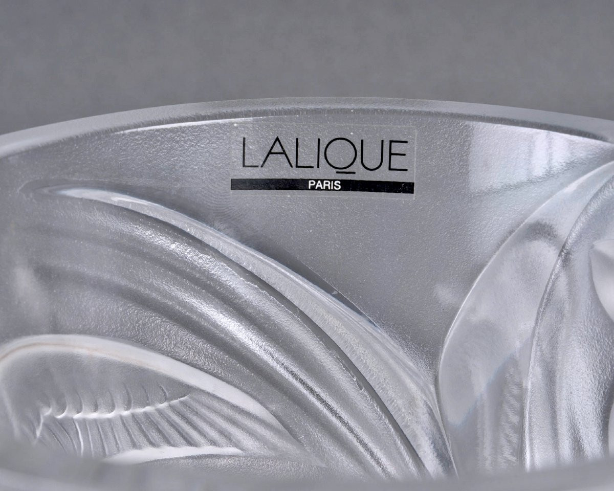 1982 Marie Claude Lalique - Vase Martinet Crystal - New-photo-2