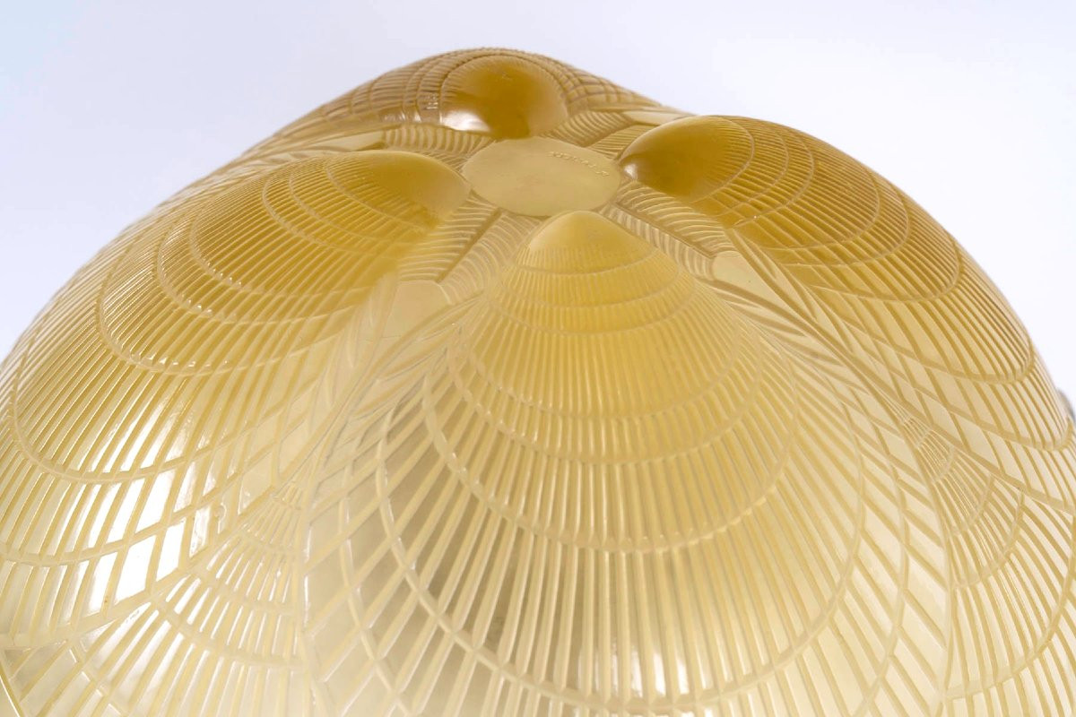 1924 René Lalique - Lamp Coquilles Shell Yellow Amber Glass-photo-3