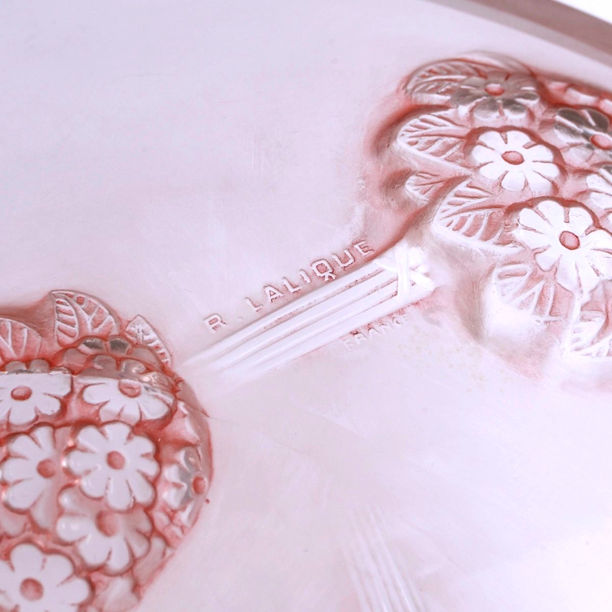 1928 René Lalique - Coupe Tournon Verre Blanc Patiné Rose-photo-3