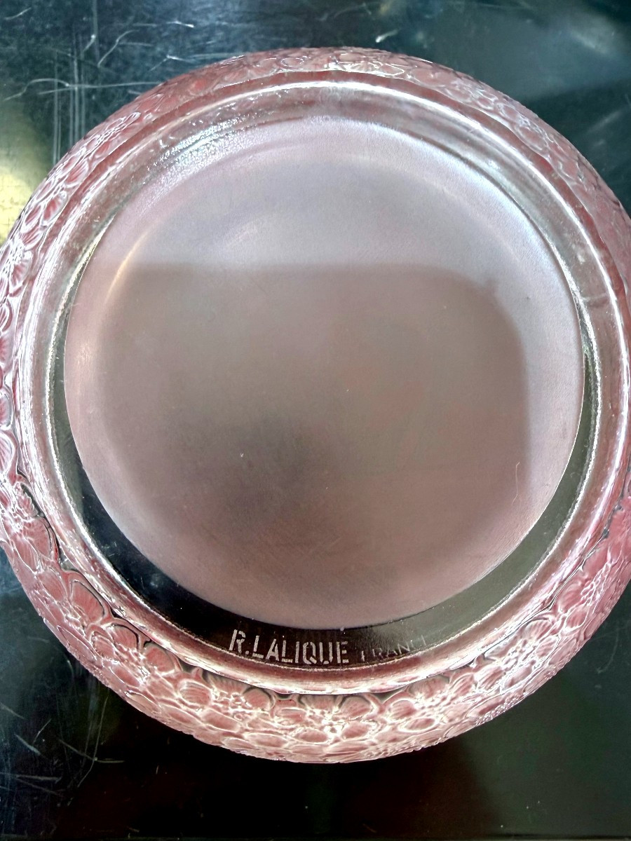 1926 René Lalique - Box Eglantines Glass With Pink Patina-photo-1