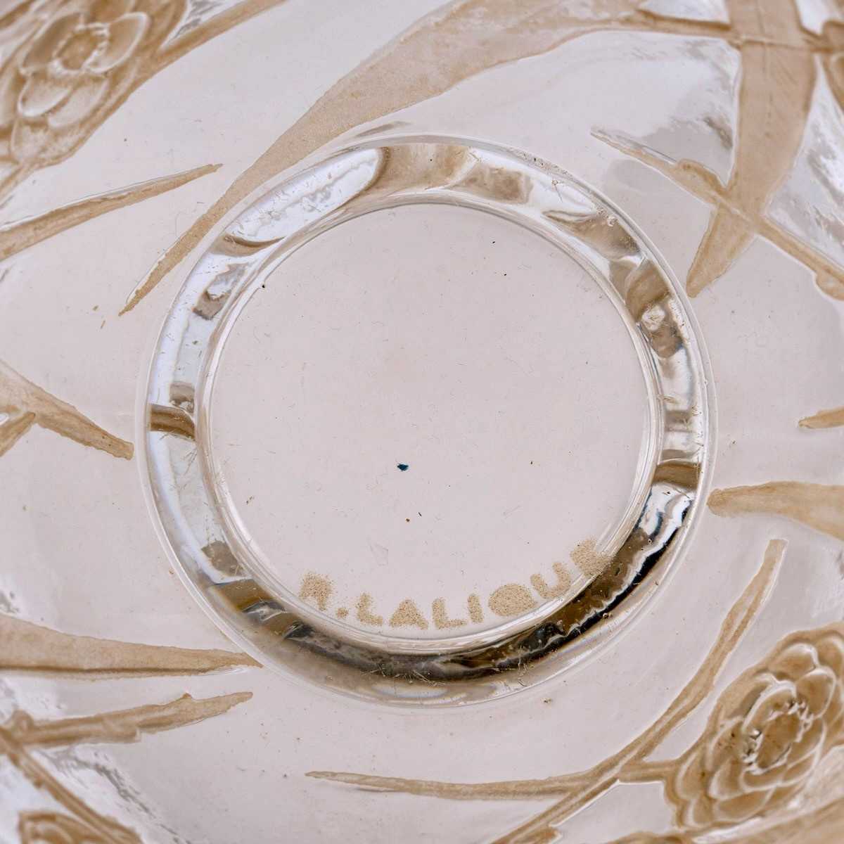 1923 René Lalique - Vase Néfliers Verre Blanc Patiné Sépia-photo-1