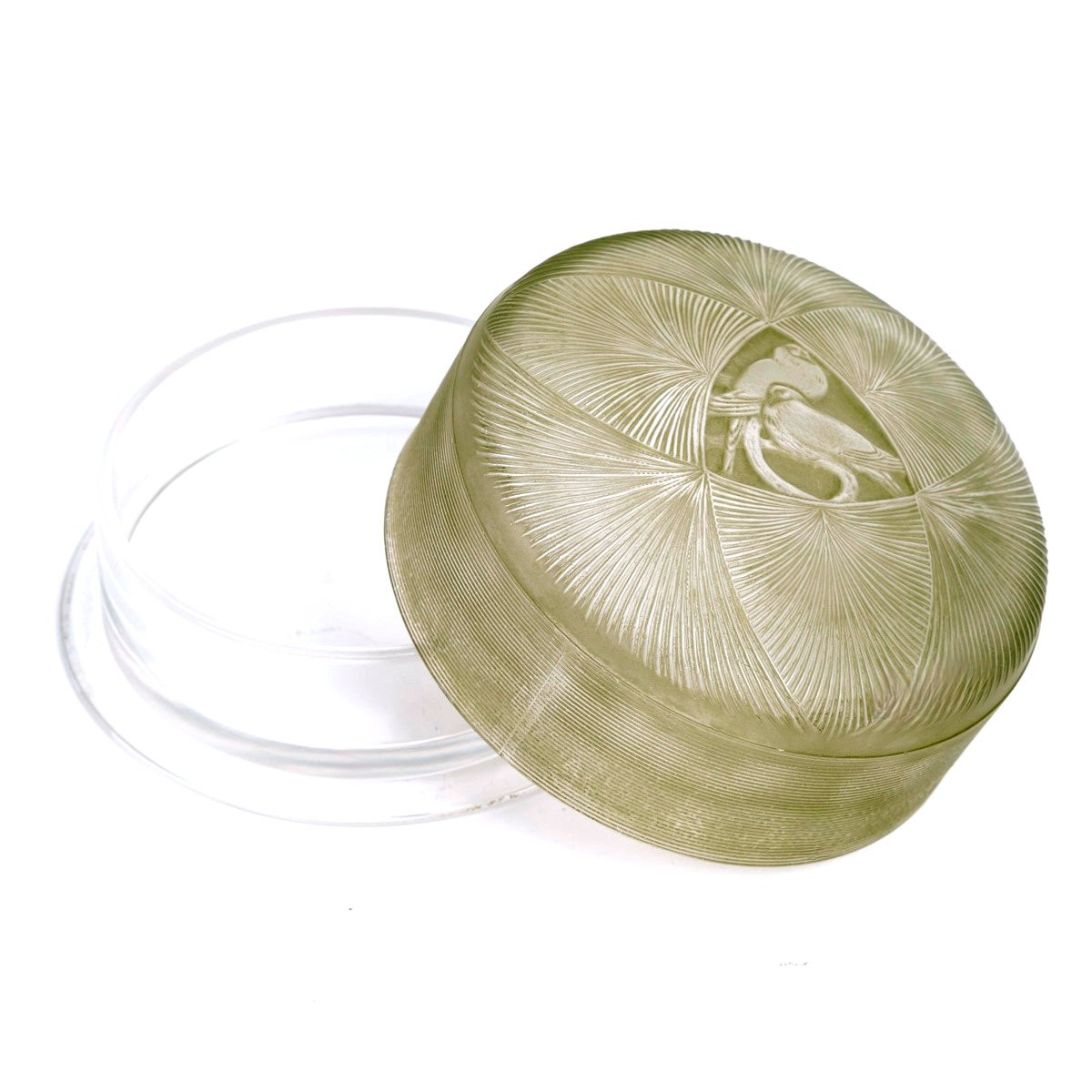 1920 René Lalique - Box Geneviève Glass With Green Patina-photo-4
