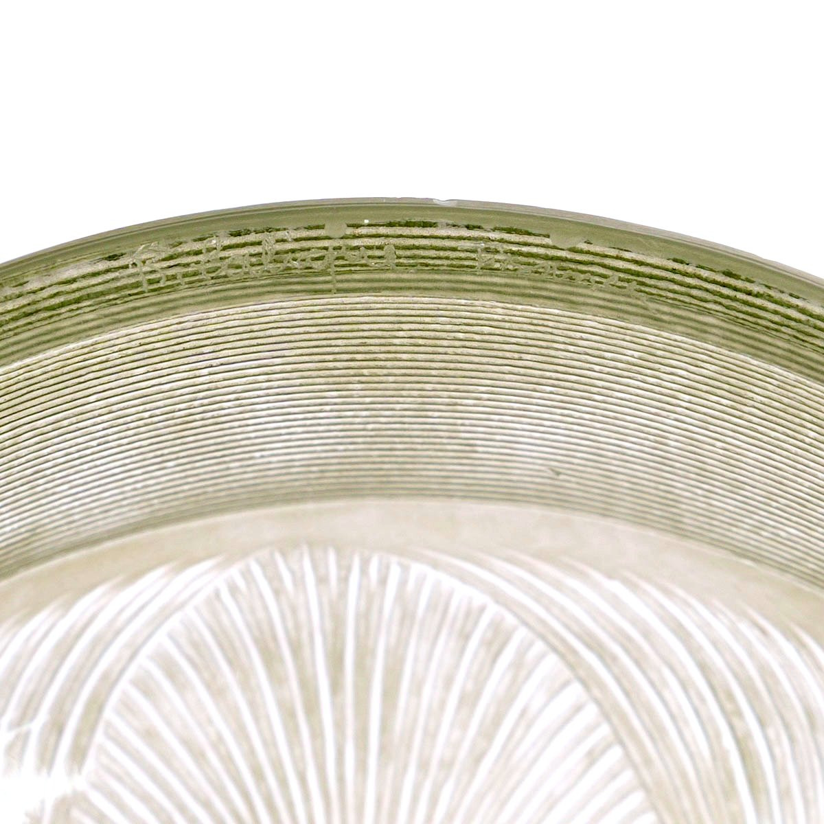 1920 René Lalique - Box Geneviève Glass With Green Patina-photo-1