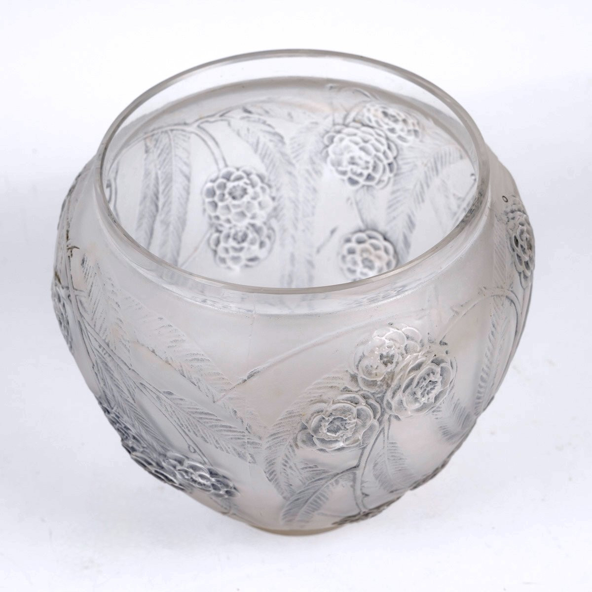 1923 René Lalique - Vase Néfliers Verre Blanc Patiné Bleu-photo-1