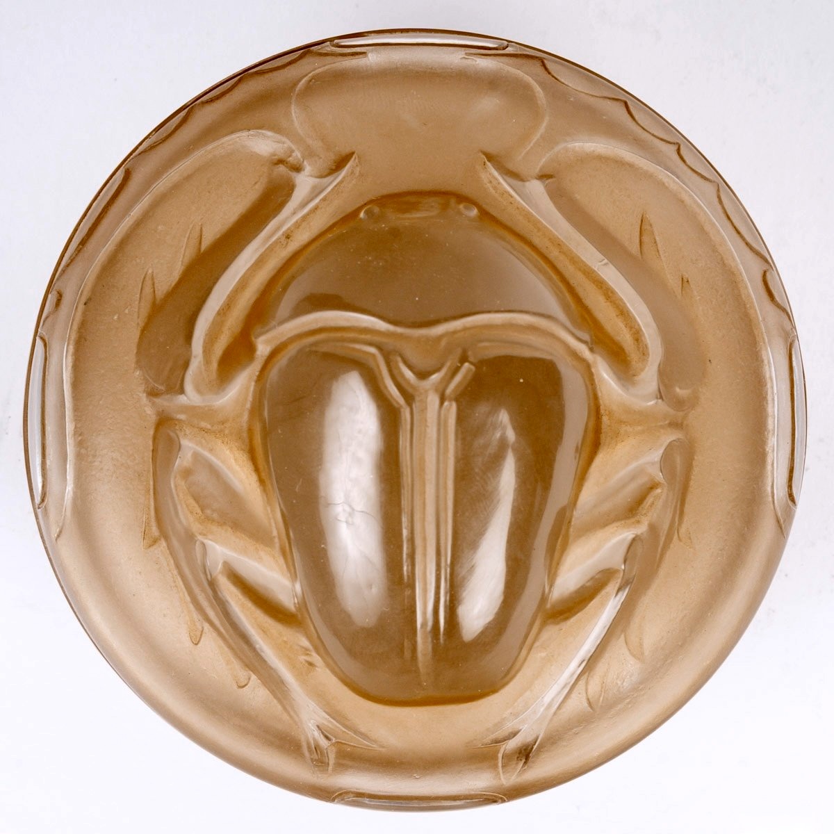 1909 René Lalique - Boîte Scarabée Verre Blanc Patiné Sépia pour L.T Piver-photo-2