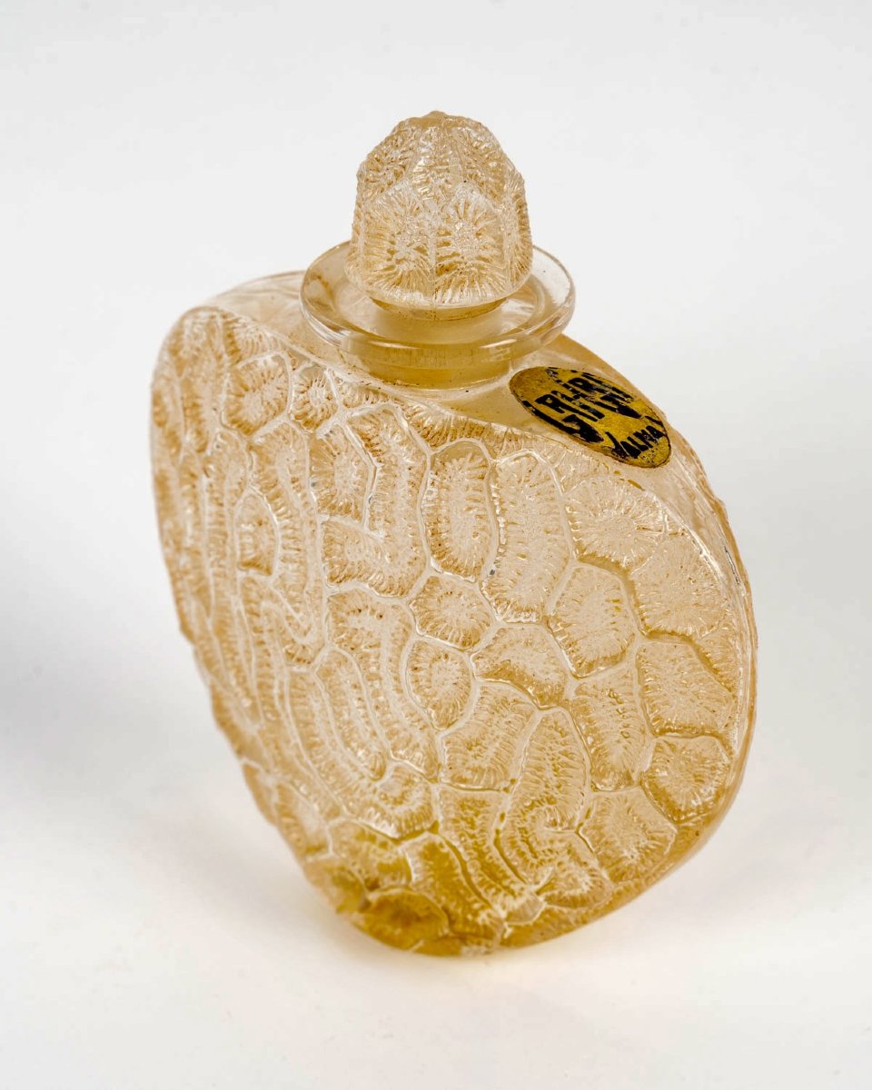 1921 René Lalique - Flacon Grigri Verre Blanc Patiné Sépia pour Volnay-photo-4
