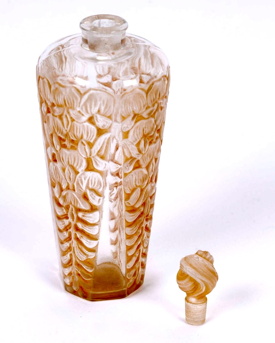 1925 René Lalique - Flacon La Glycine Verre Blanc Patiné Sépia pour Gabilla-photo-4