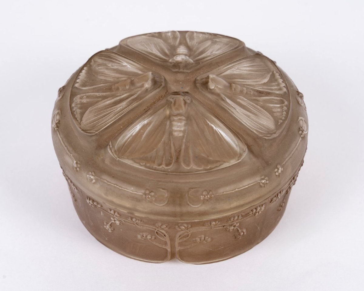 1911 René Lalique - Boîte Quatre Papillons Verre Blanc Patiné Sépia