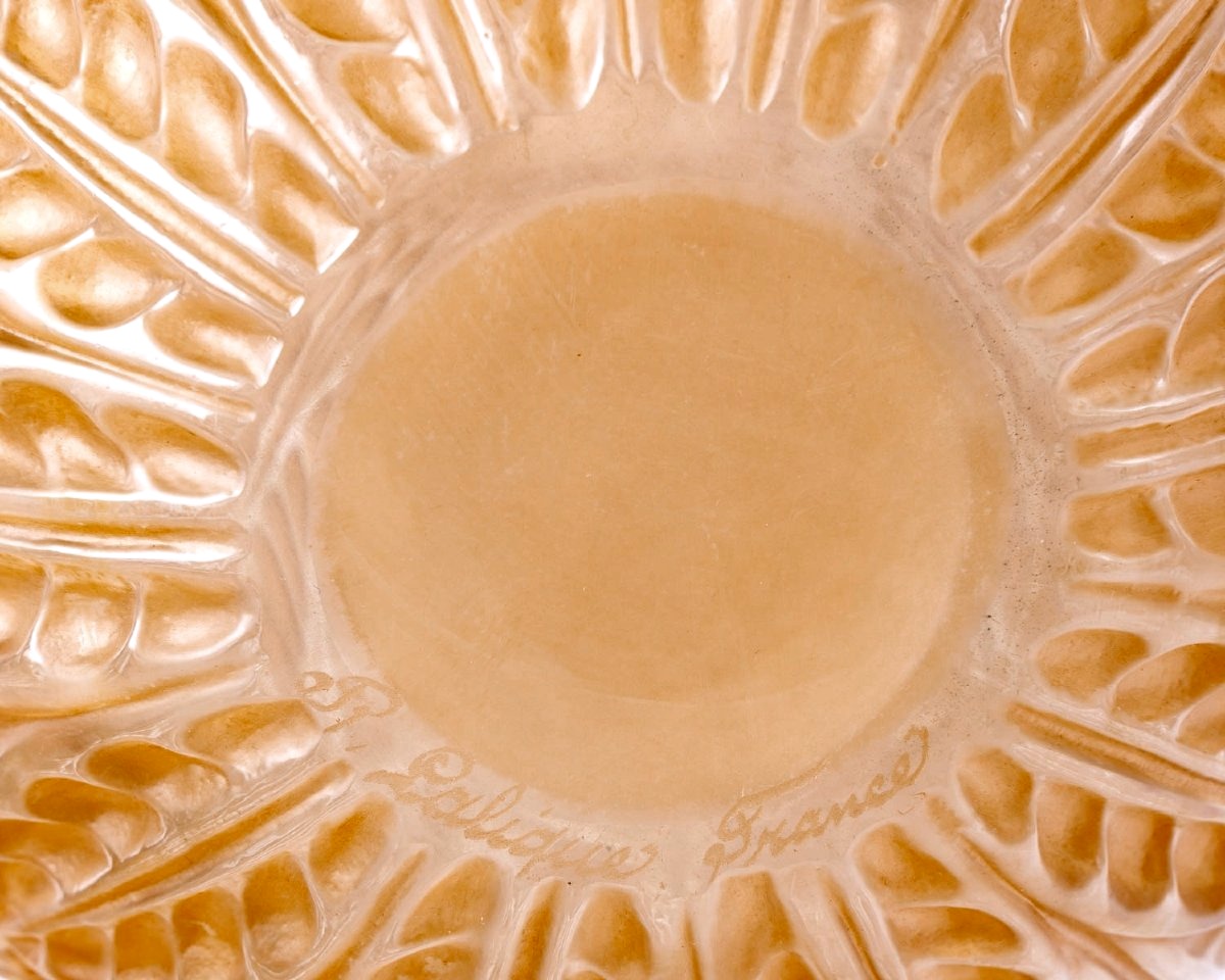 1927 René Lalique - Vase Malesherbes Verre Blanc Patiné Sépia-photo-4