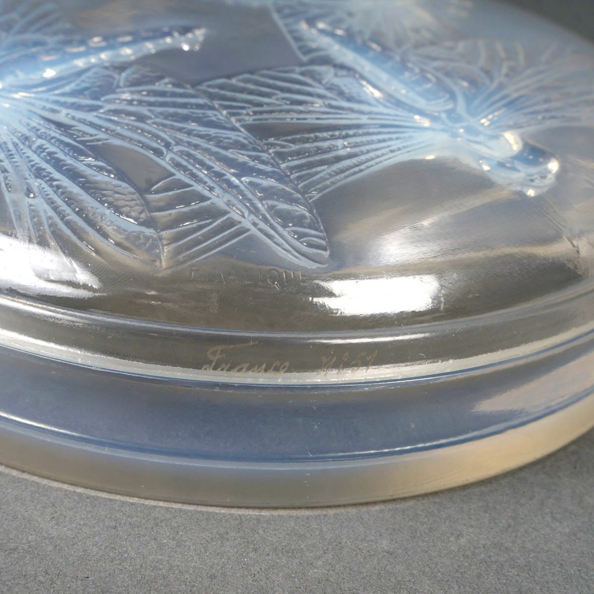 1921 René Lalique - Box Libellules Dragonflies Opalescent Glass-photo-3