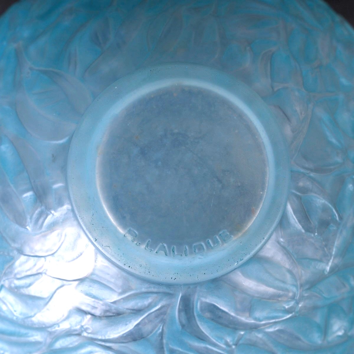 1920 René Lalique - Vase Gui Verre Opalescent Patiné Bleu-photo-4