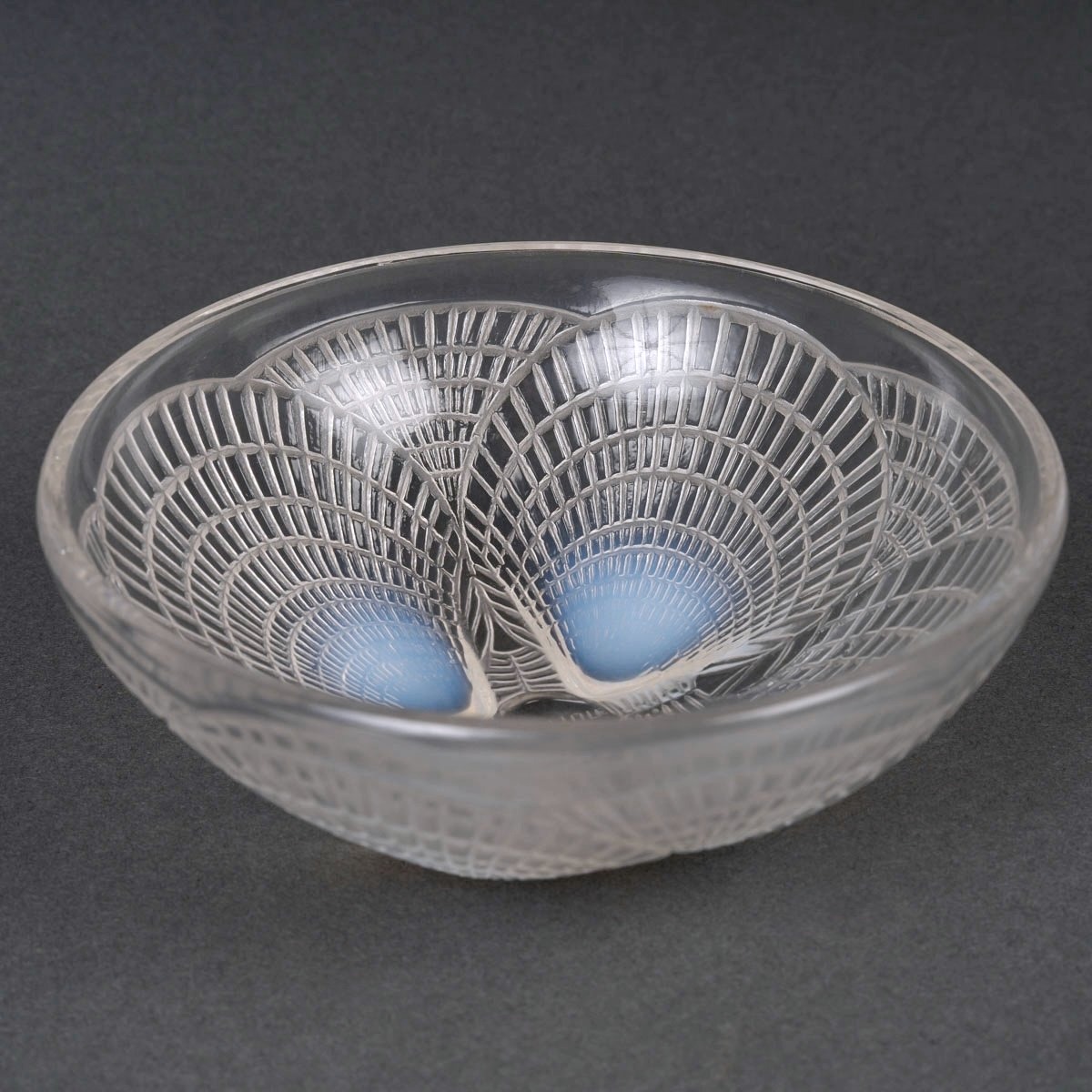 1924 René Lalique - Suite de 12 Bols Coupes Coquilles Verre Opalescent -photo-3