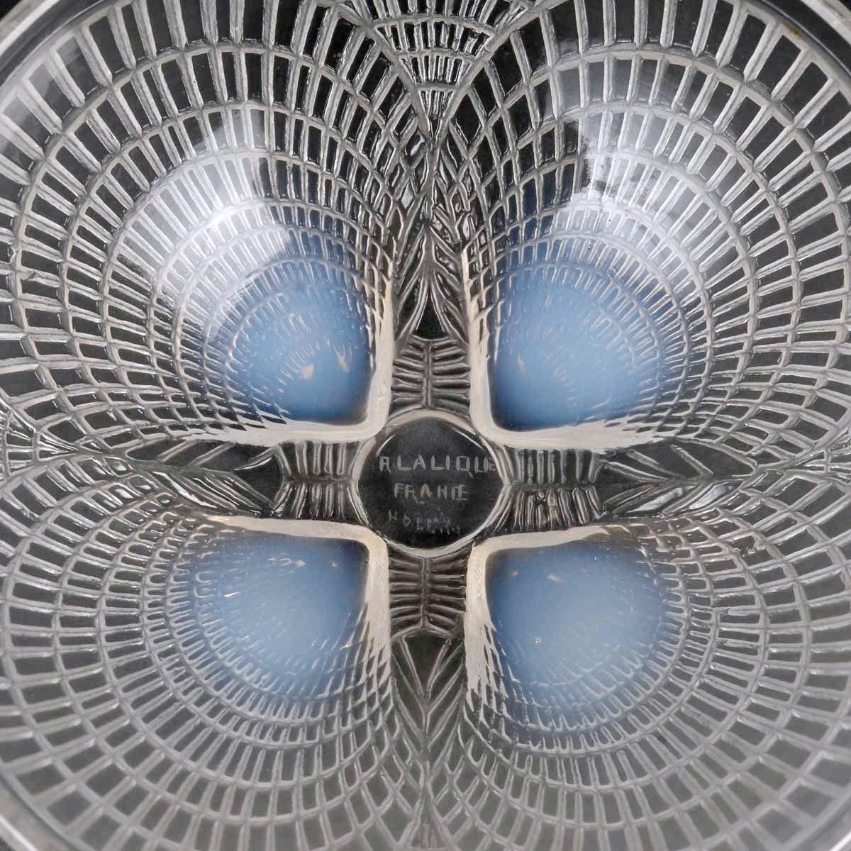 1924 René Lalique - Suite de 12 Bols Coupes Coquilles Verre Opalescent -photo-4