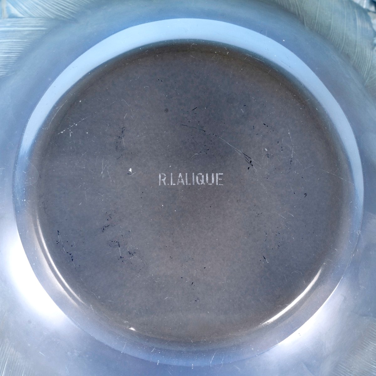 1931 René Lalique - Coupe Muguet Verre Opalescent Patiné Bleu-photo-1