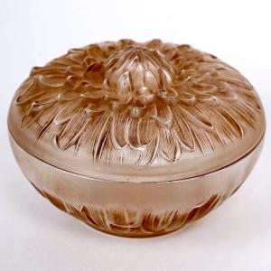 1911 René Lalique - Box Chrysanthemum Frosted Glass Sepia Patina