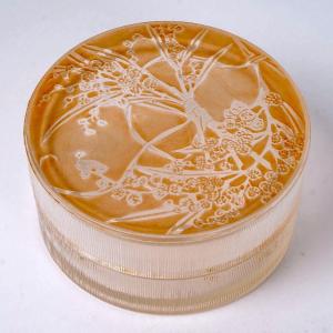 1920 René Lalique - Boîte Un Jardin Dans La Nuit Verre Blanc Patiné Sépia Pour Arys