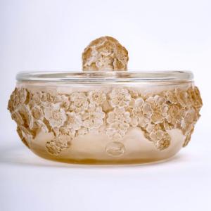 1927 René Lalique - Box Primeveres Glass With Sepia Patina