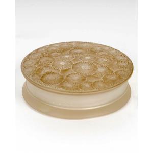1920 René Lalique - Box Marguerites Daisies Glass With Sepia Patina