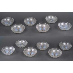 1924 René Lalique - Set Of 12 Coquilles Bowls Opalescent Glass