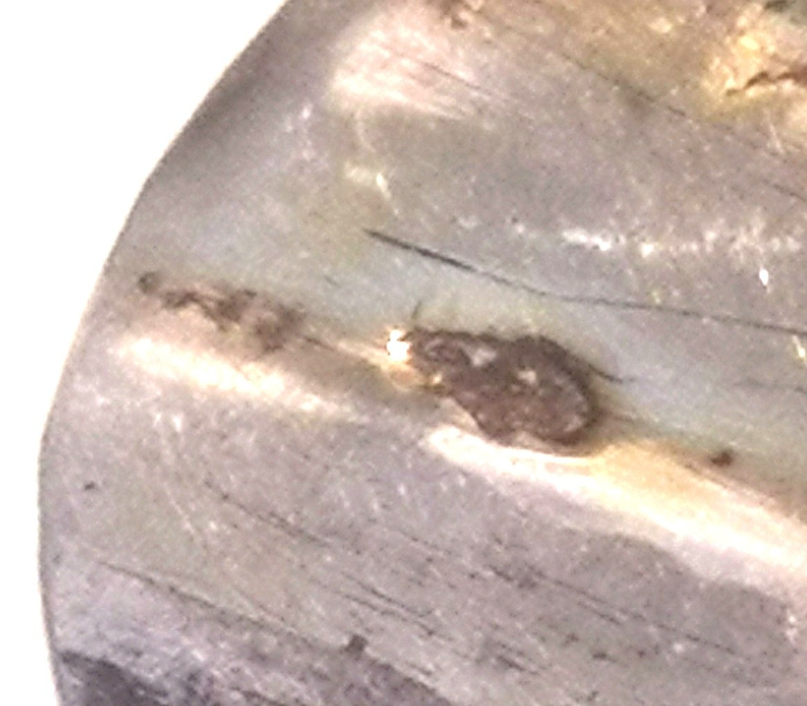 Empire-style Silver-gilt Needle Case With Palmettes And Fluting, Hare Hallmark 1819-1838-photo-8