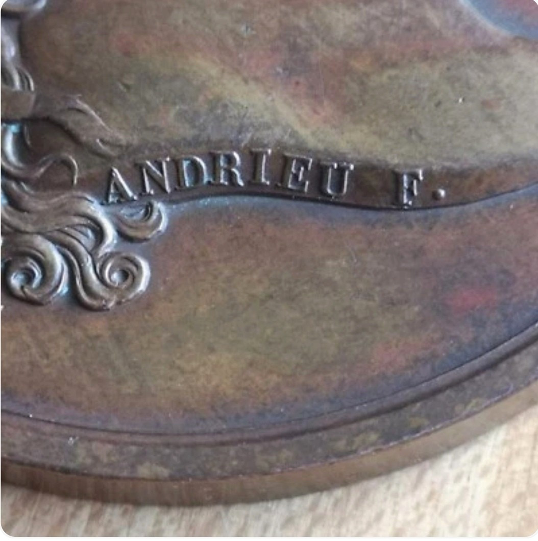 Bronze Medal 1816 Marriage Of The Duke Of Berry And Caroline Ferdinande - By Andrieu - 50 Mm-photo-4