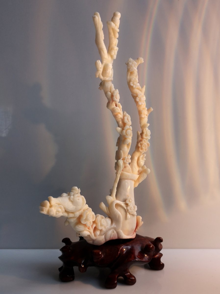 Carved Coral - Late 19th - Sun 19 X 14 - 195 Gr On Base-photo-2