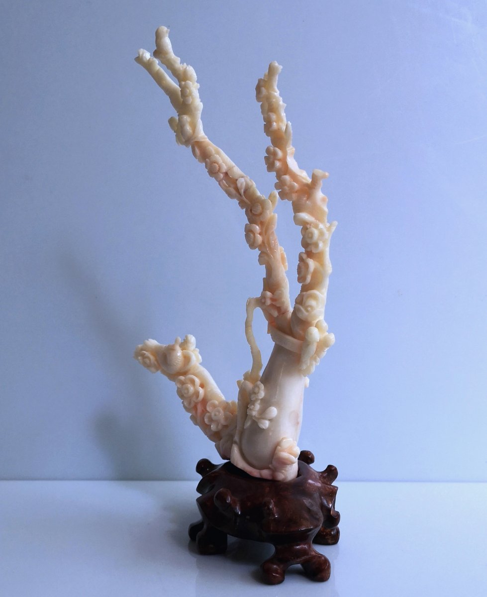 Carved Coral - Late 19th - Sun 19 X 14 - 195 Gr On Base-photo-4