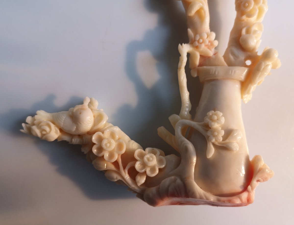 Corail Sculpté - Fin19ème - Dim 19 X 14  - 195 Gr Sur Socle-photo-7