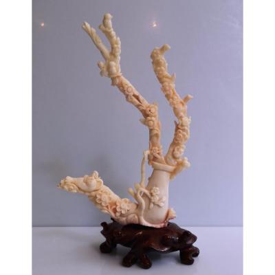 Carved Coral - Late 19th - Sun 19 X 14 - 195 Gr On Base