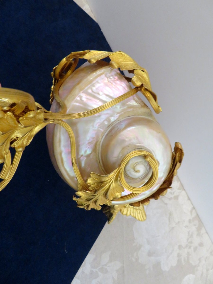 Shellfish And Gilt Bronze Cup  Trinket Dish Napoléon III 19th-photo-3