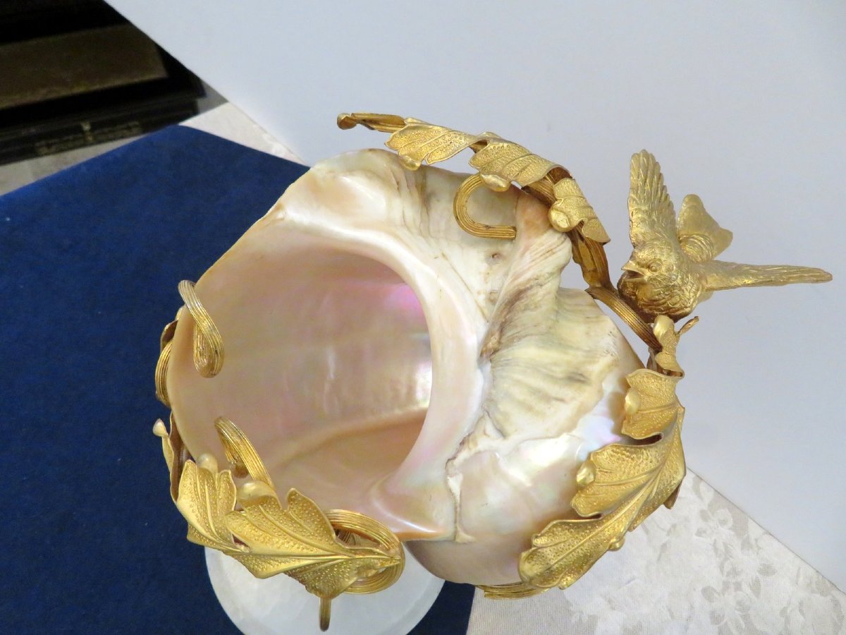 Shellfish And Gilt Bronze Cup  Trinket Dish Napoléon III 19th-photo-3