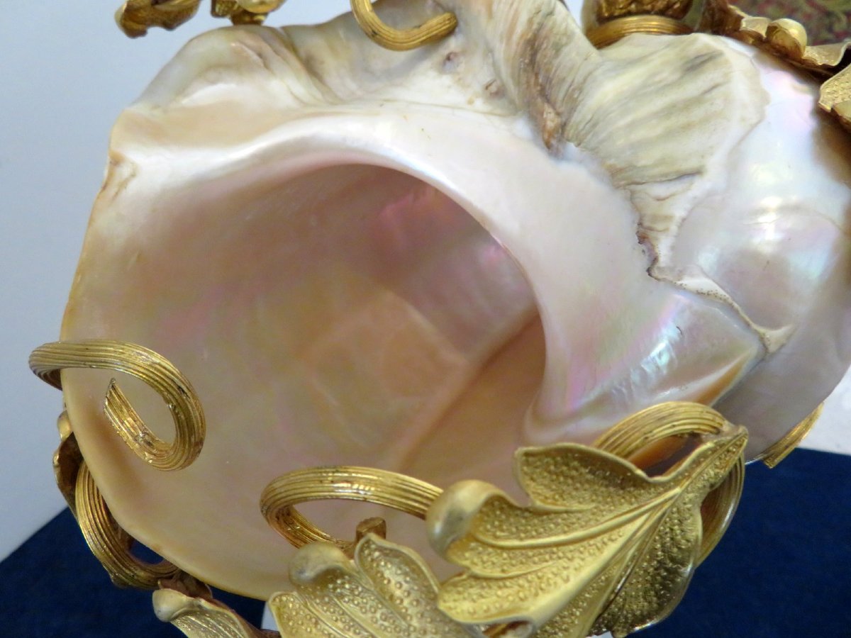 Shellfish And Gilt Bronze Cup  Trinket Dish Napoléon III 19th-photo-5