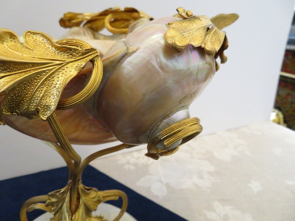Shellfish And Gilt Bronze Cup  Trinket Dish Napoléon III 19th-photo-6