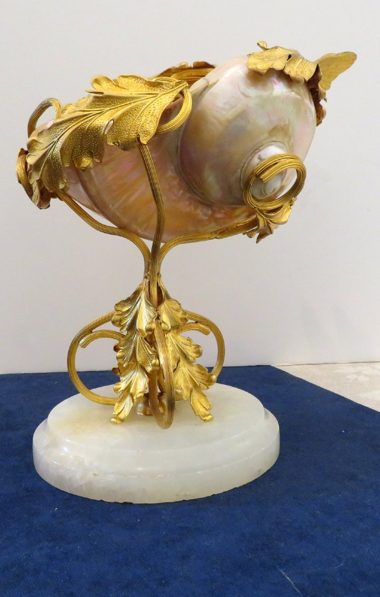Shellfish And Gilt Bronze Cup  Trinket Dish Napoléon III 19th-photo-8