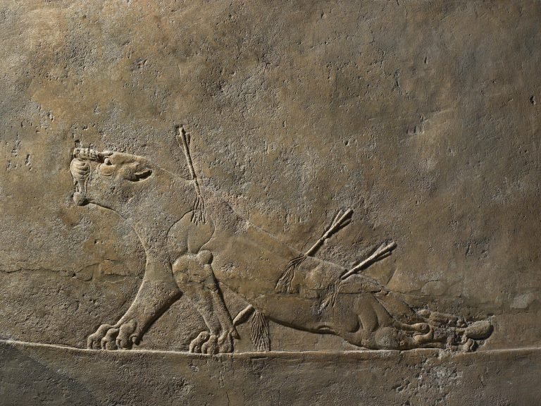 "lioness With Arrows" By Charles Valton (1851-1918) - Siot Cast-photo-5