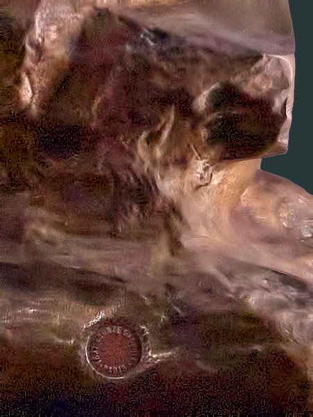 EMMANUEL VILLANIS - Bronze ancien - Capture 53 cm-photo-7