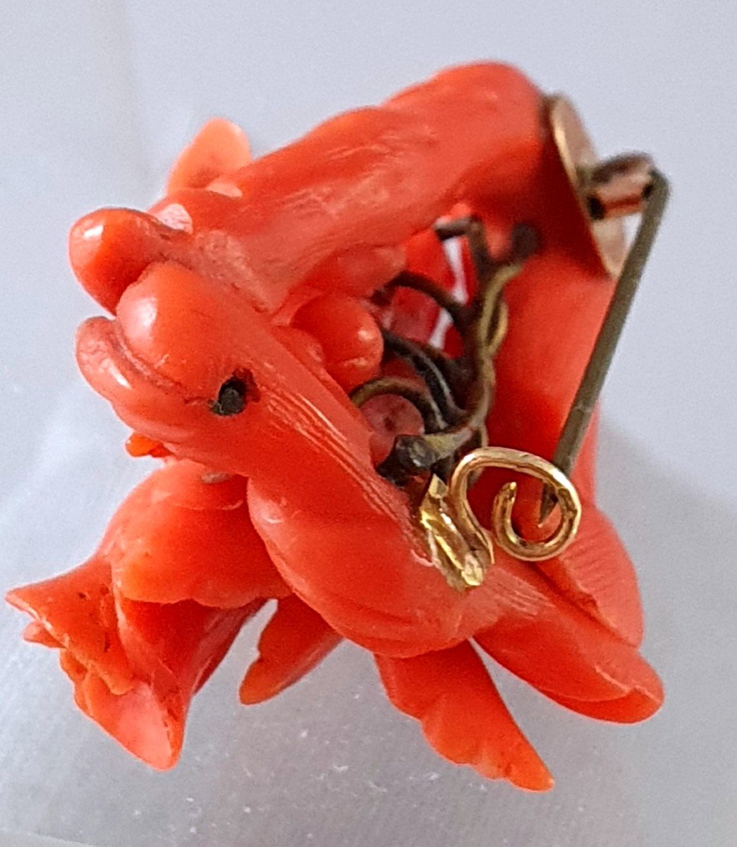 BROCHE CORAIL 19ème SIECLE - NAPOLÉON  III-photo-4