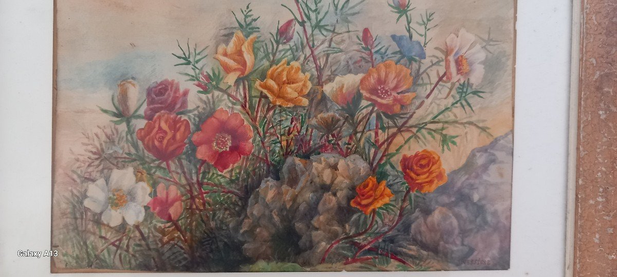Watercolor