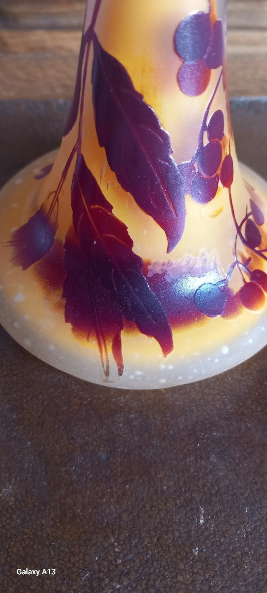 Gallé établissement-photo-2