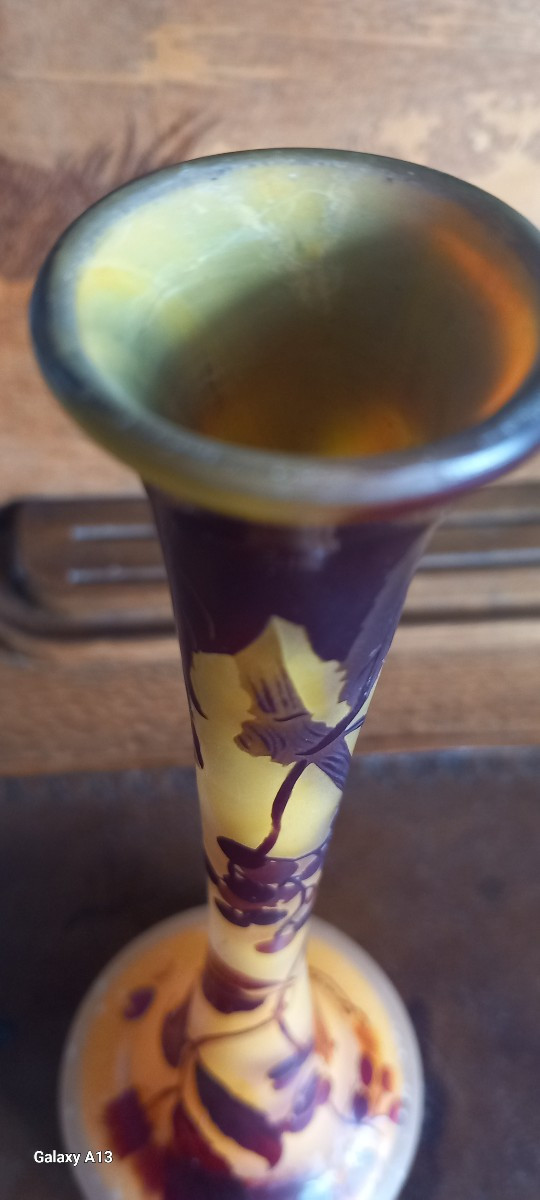 Gallé établissement-photo-3