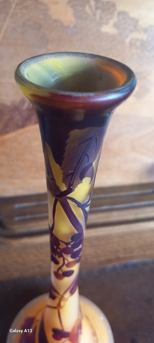 Gallé établissement-photo-1