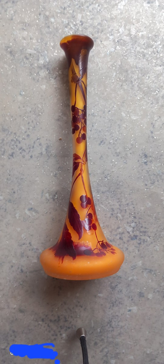 Gallé établissement