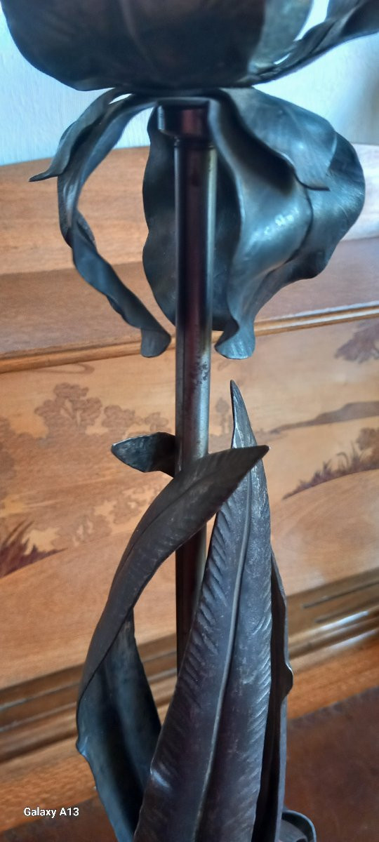 Daum Jean Keppel Nancy-photo-6