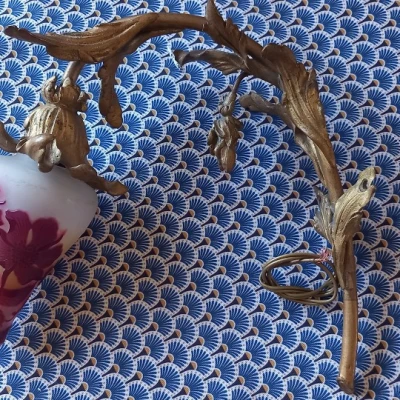 Premiere-Image-1751380