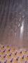 1813044-alb-6a905894eebd5.jpg
