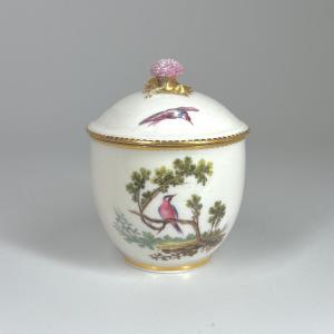 Pot à sucre à décor d'oiseaux en porcelaine de Sèvres - XVIIIe siècle