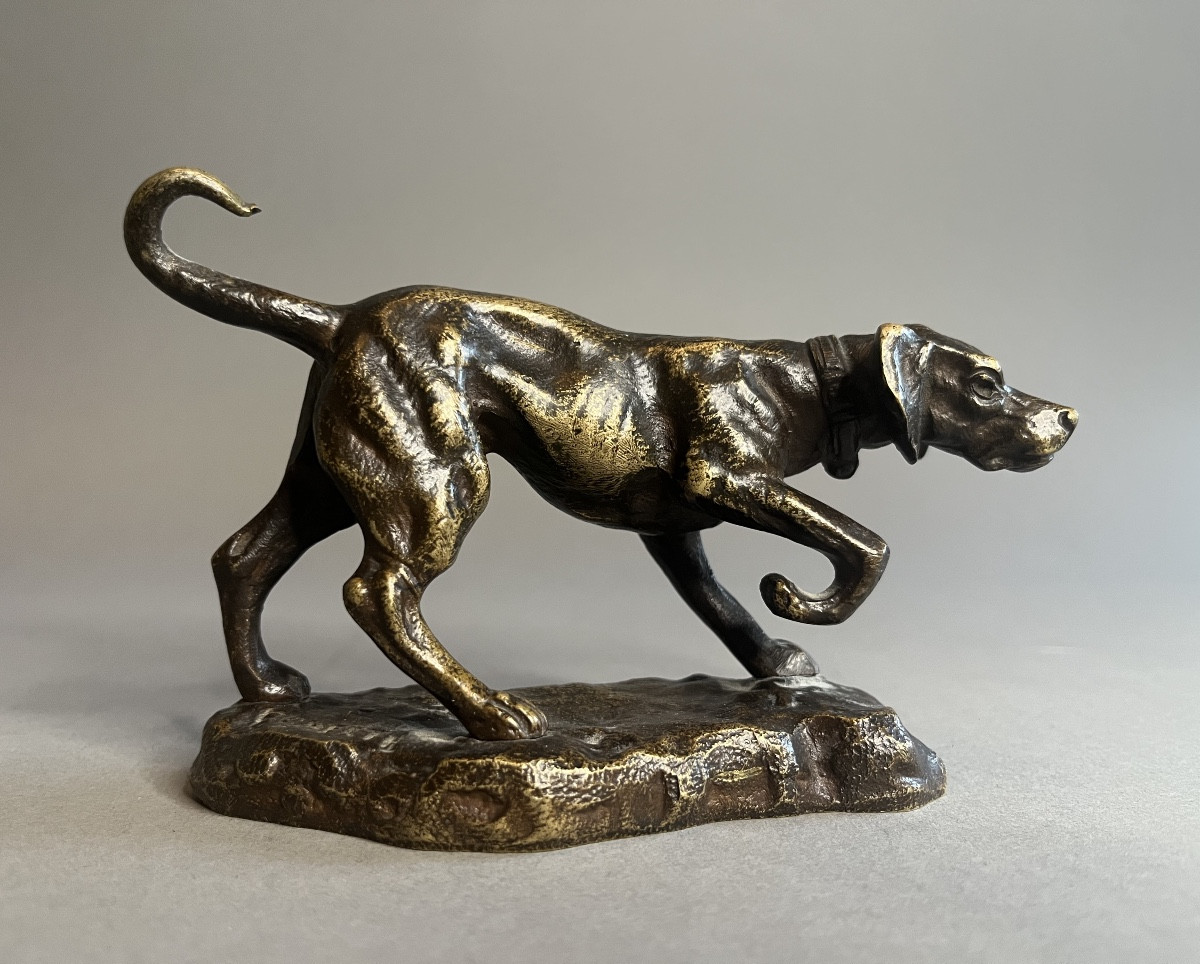 Chien à l'arrêt Petit sujet en bronze patiné,