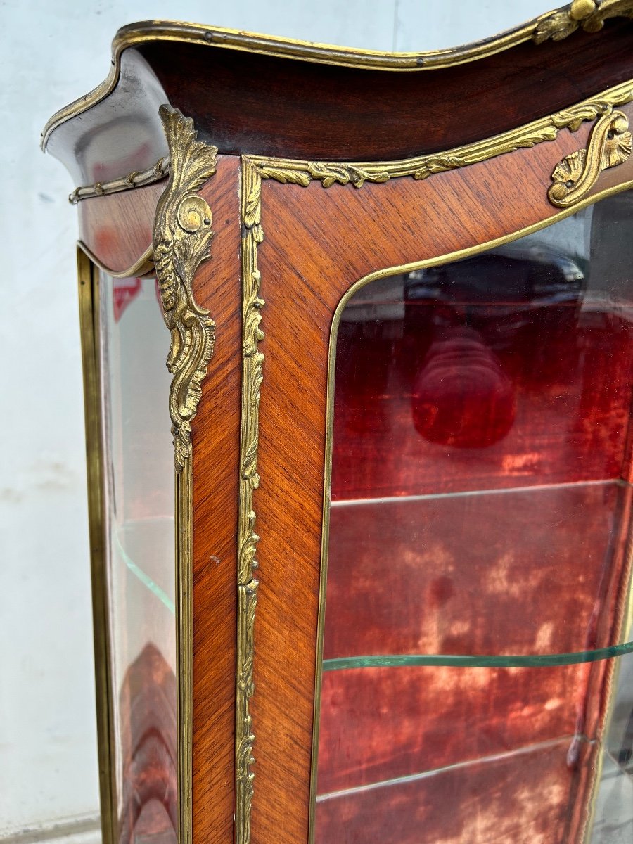 Showcase Domed Louis XV Style Napoleon III Period - Vernis Martin - 19th-photo-2