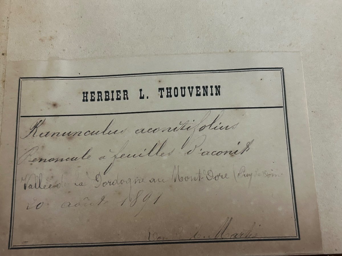 Rare Ensemble De Neuf Volumes D’herbier L Thouvenin Vers 1880-90 -photo-2