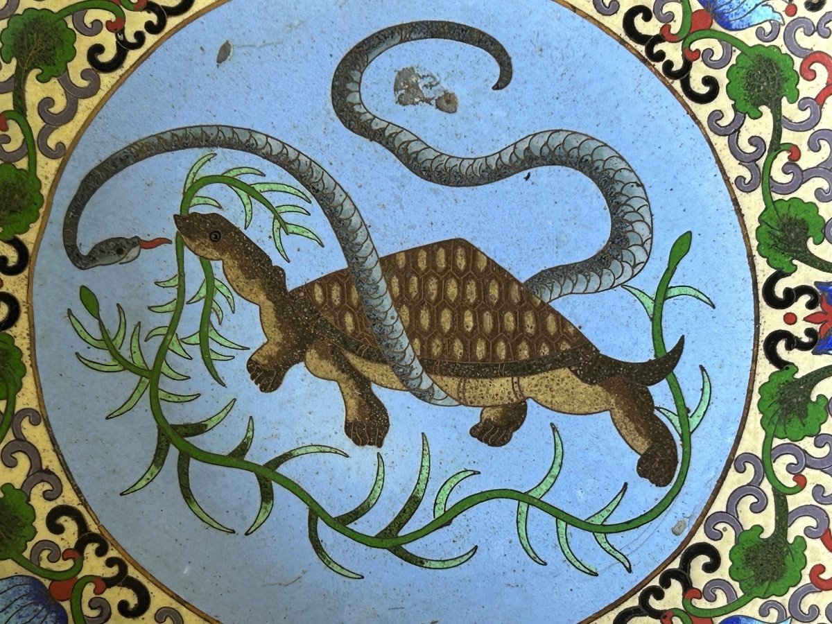 Assiette émail Cloisonnée Chine Fin XIXéme -photo-3